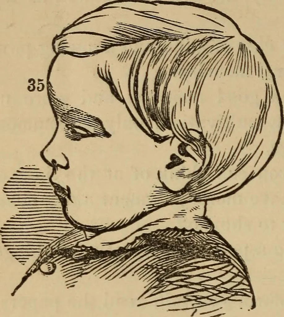 An illustration from The practical phrenologist and recorder and delineator of the character and talents of [blank], as marked by [blank] : a compendium of phreno-organic science, 1869, leaf 163
