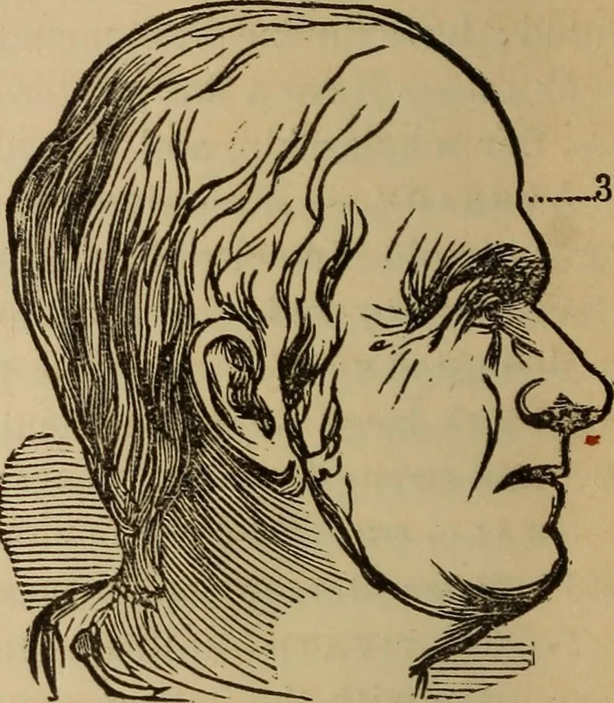 An illustration from The practical phrenologist and recorder and delineator of the character and talents of [blank], as marked by [blank] : a compendium of phreno-organic science, 1869, leaf 163