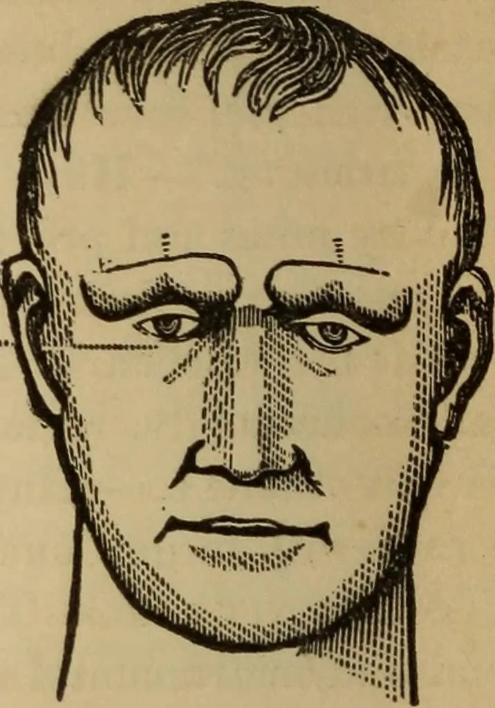 An illustration from The practical phrenologist and recorder and delineator of the character and talents of [blank], as marked by [blank] : a compendium of phreno-organic science, 1869, leaf 167