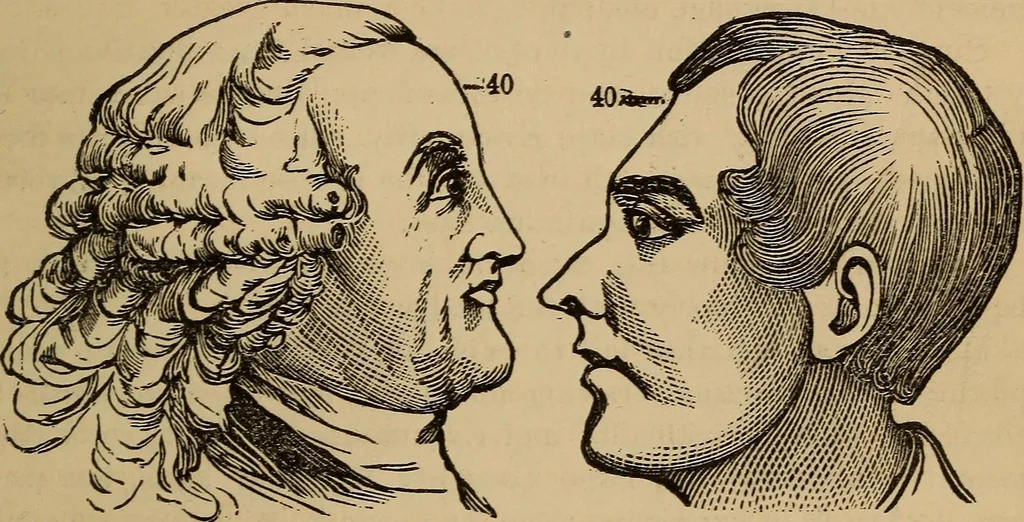 An illustration from The practical phrenologist and recorder and delineator of the character and talents of [blank], as marked by [blank] : a compendium of phreno-organic science, 1869, leaf 172
