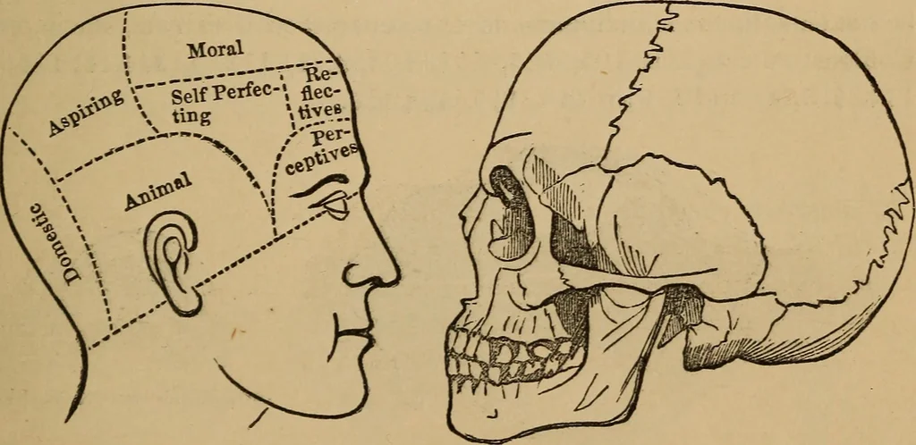 An illustration from The practical phrenologist and recorder and delineator of the character and talents of [blank], as marked by [blank] : a compendium of phreno-organic science, 1869, leaf 22