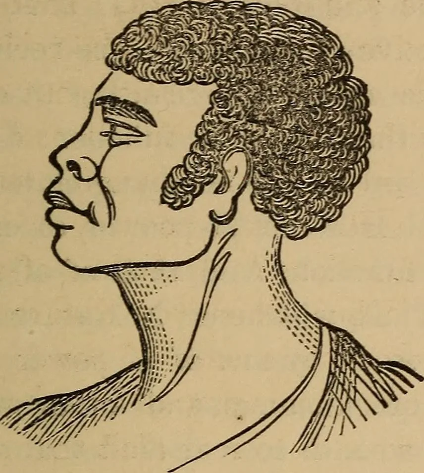An illustration from The practical phrenologist and recorder and delineator of the character and talents of [blank], as marked by [blank] : a compendium of phreno-organic science, 1869, leaf 26