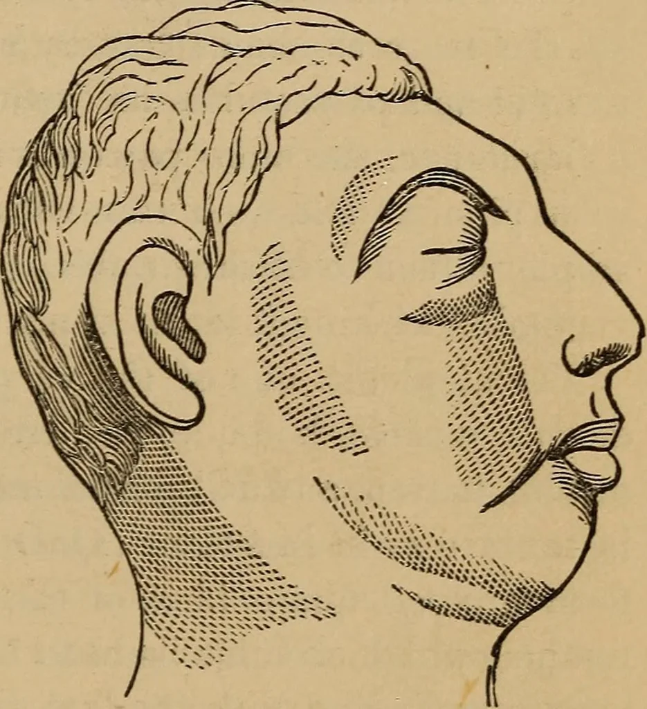 An illustration from The practical phrenologist and recorder and delineator of the character and talents of [blank], as marked by [blank] : a compendium of phreno-organic science, 1869, leaf 26