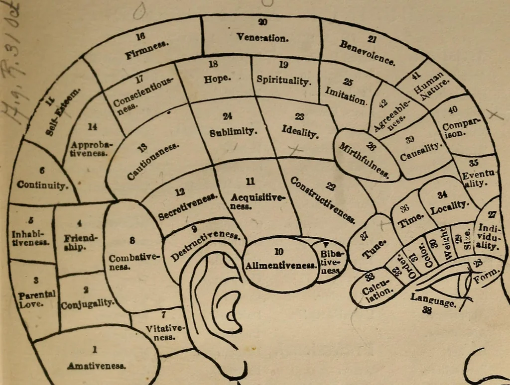 An illustration from The practical phrenologist and recorder and delineator of the character and talents of [blank], as marked by [blank] : a compendium of phreno-organic science, 1869, leaf 8