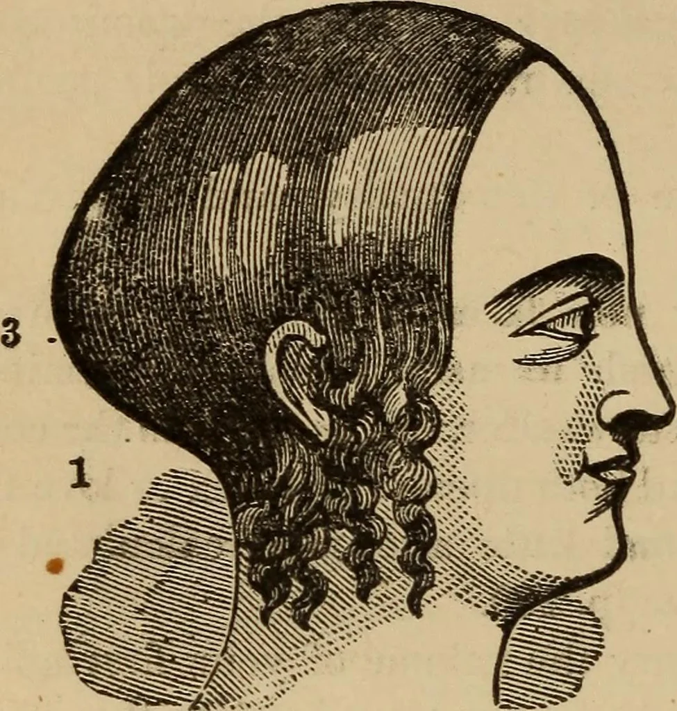 An illustration from The practical phrenologist and recorder and delineator of the character and talents of [blank], as marked by [blank] : a compendium of phreno-organic science, 1869, leaf 87