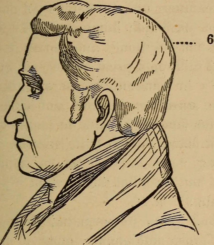 An illustration from The practical phrenologist and recorder and delineator of the character and talents of [blank], as marked by [blank] : a compendium of phreno-organic science, 1869, leaf 94