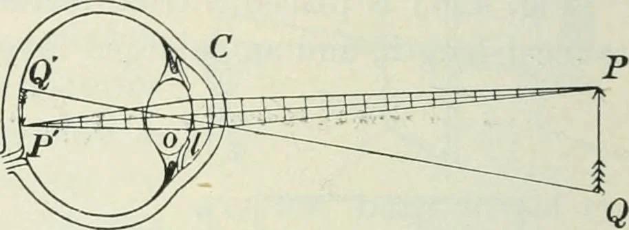 An illustration from Practical physics, 1922, leaf 451