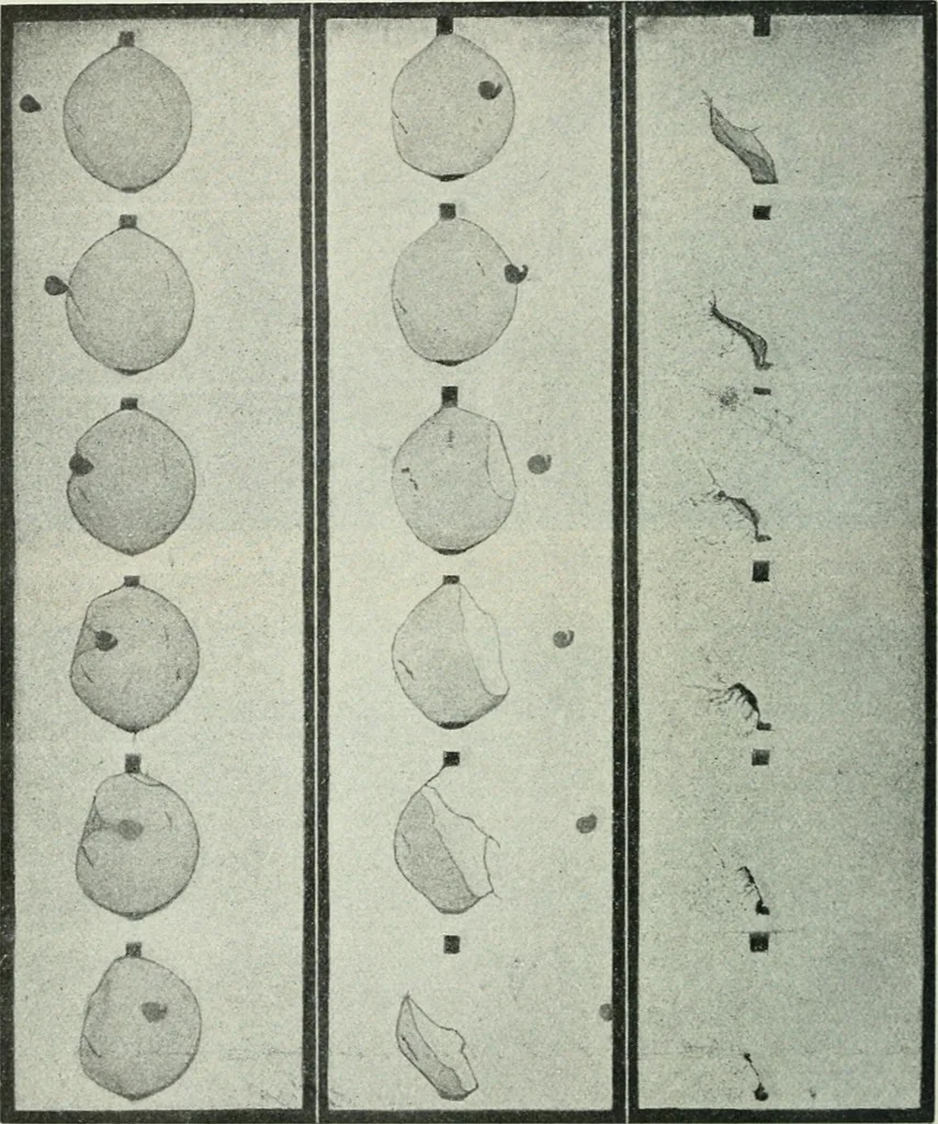 An illustration from Practical physics, 1922, leaf 487