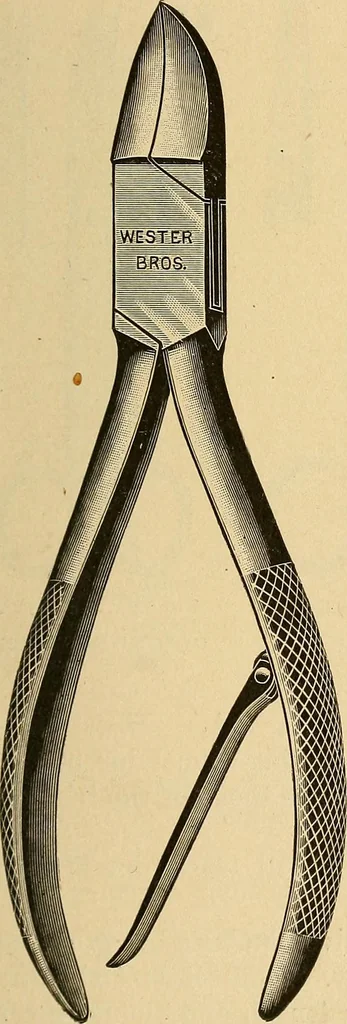 An illustration from Practical podiatry :, 1918, leaf 100