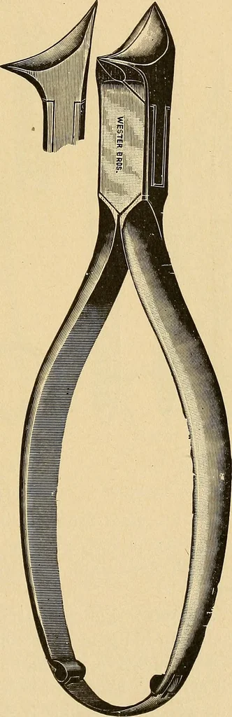 An illustration from Practical podiatry :, 1918, leaf 100
