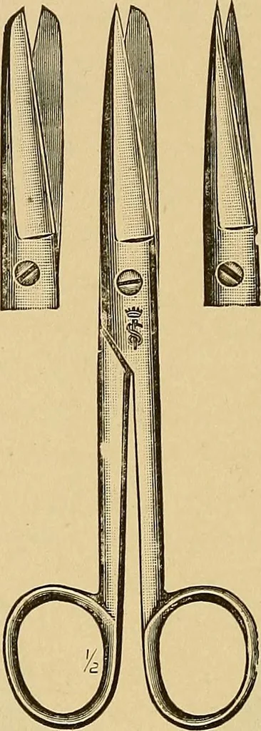 An illustration from Practical podiatry :, 1918, leaf 101
