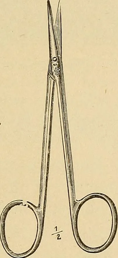 An illustration from Practical podiatry :, 1918, leaf 102