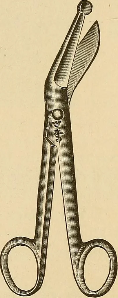 An illustration from Practical podiatry :, 1918, leaf 102