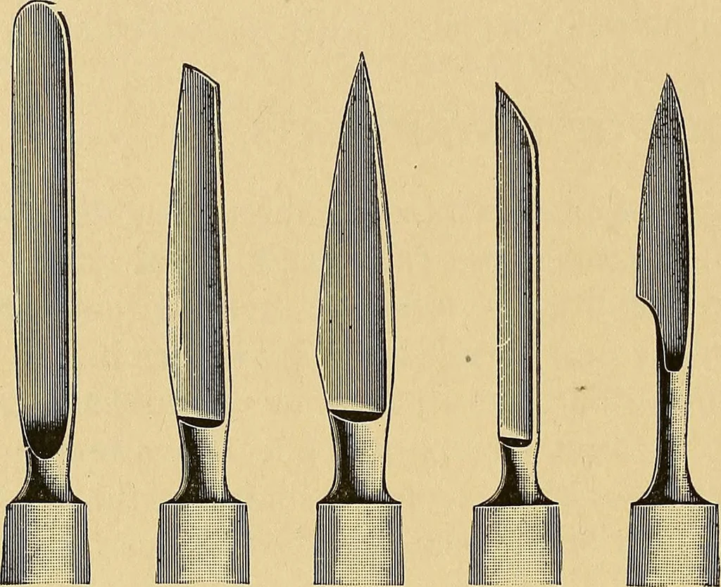 An illustration from Practical podiatry :, 1918, leaf 93