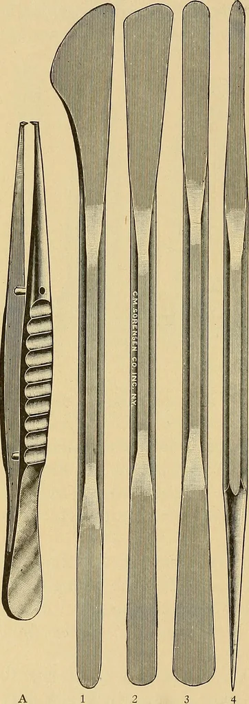 An illustration from Practical podiatry :, 1918, leaf 95