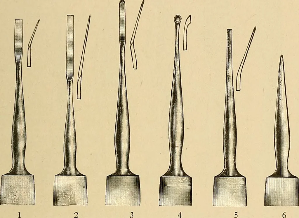 An illustration from Practical podiatry :, 1918, leaf 96