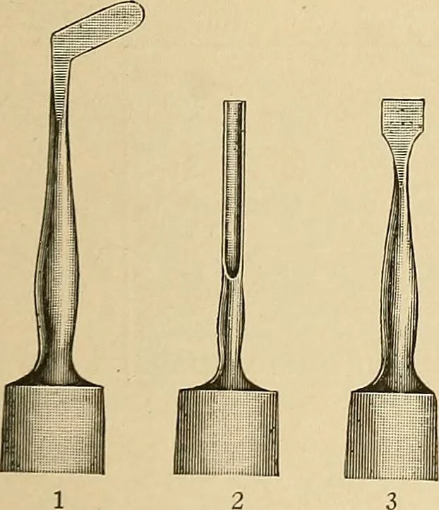 An illustration from Practical podiatry :, 1918, leaf 96