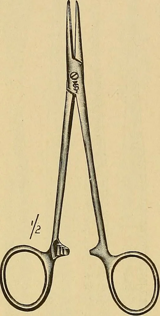 An illustration from Practical podiatry :, 1918, leaf 99
