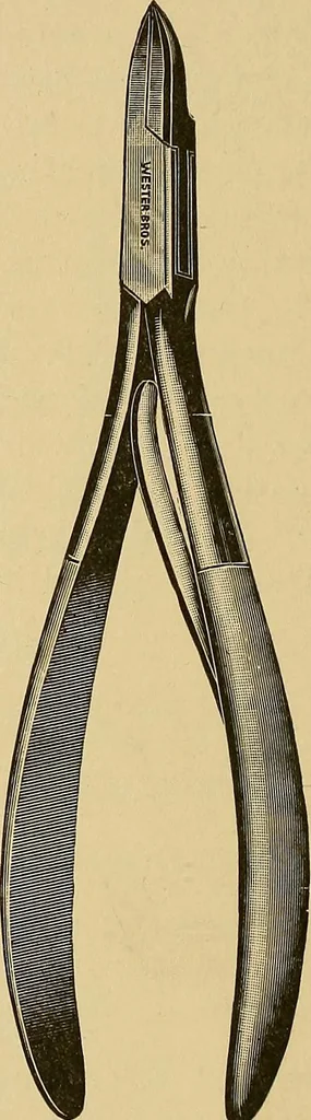 An illustration from Practical podiatry :, 1918, leaf 99