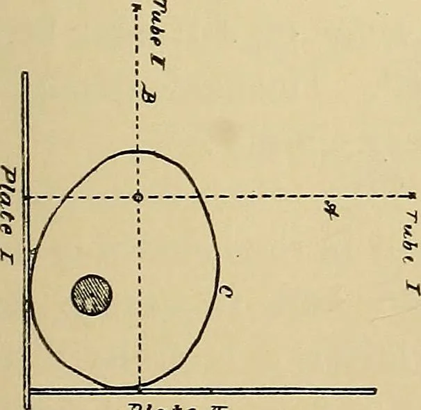 An illustration from Practical radiography : a handbook for physicians, surgeons, and other users of X-rays, 1901, leaf 178