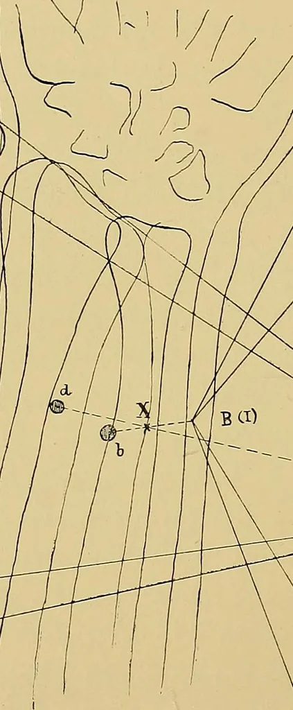An illustration from Practical radiography : a handbook for physicians, surgeons, and other users of X-rays, 1901, leaf 191