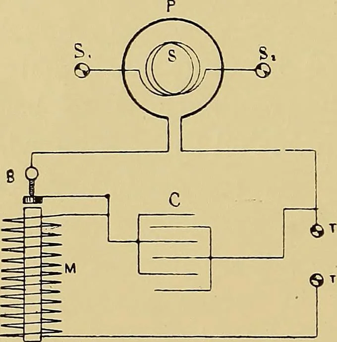 An illustration from Practical radiography : a handbook for physicians, surgeons, and other users of X-rays, 1901, leaf 73