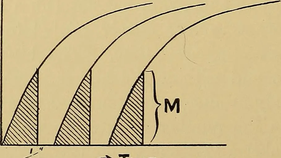 An illustration from Practical radiography : a handbook for physicians, surgeons, and other users of X-rays, 1901, leaf 87