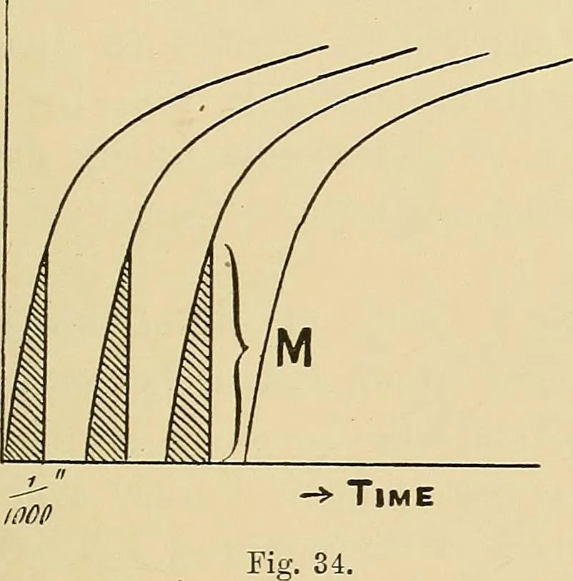 An illustration from Practical radiography : a handbook for physicians, surgeons, and other users of X-rays, 1901, leaf 88