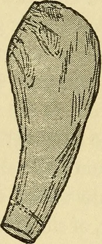 An illustration from Practical sewing and dressmaking, 1913, leaf 106