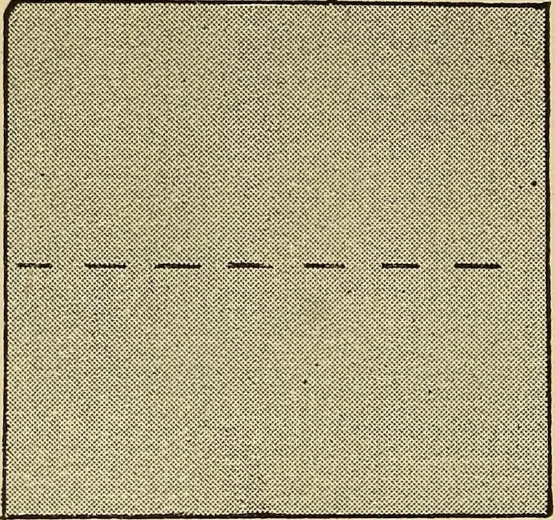 An illustration from Practical sewing and dressmaking, 1913, leaf 15
