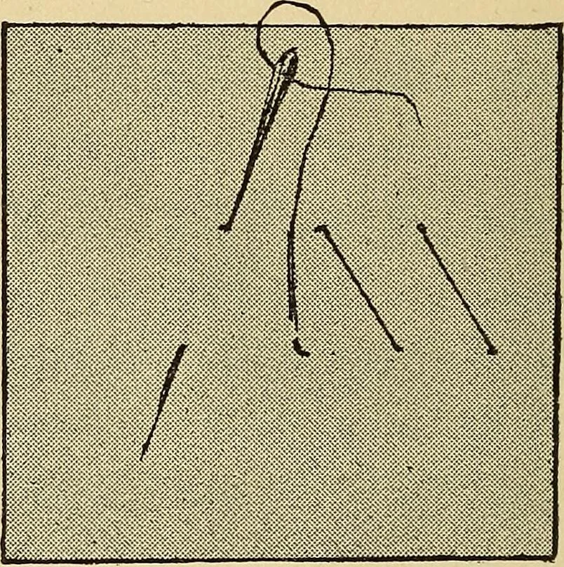 An illustration from Practical sewing and dressmaking, 1913, leaf 15