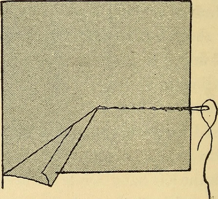An illustration from Practical sewing and dressmaking, 1913, leaf 15