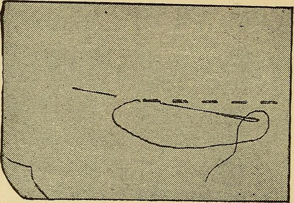 An illustration from Practical sewing and dressmaking, 1913, leaf 17