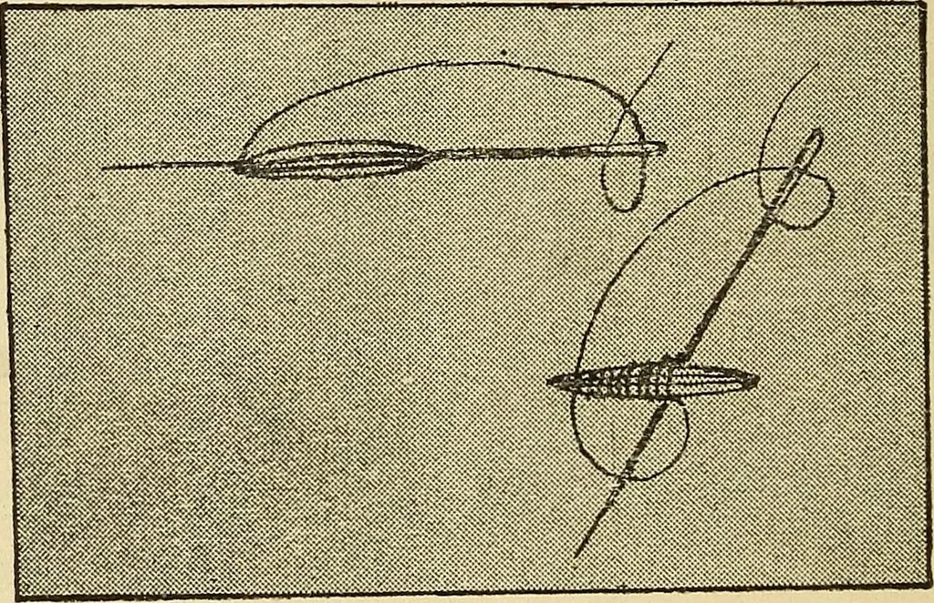 An illustration from Practical sewing and dressmaking, 1913, leaf 19