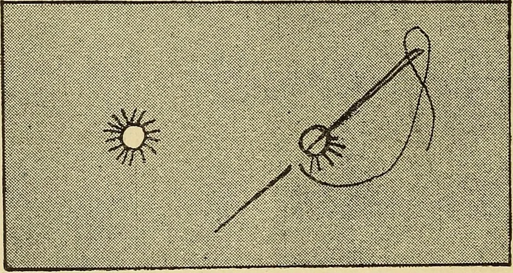 An illustration from Practical sewing and dressmaking, 1913, leaf 19