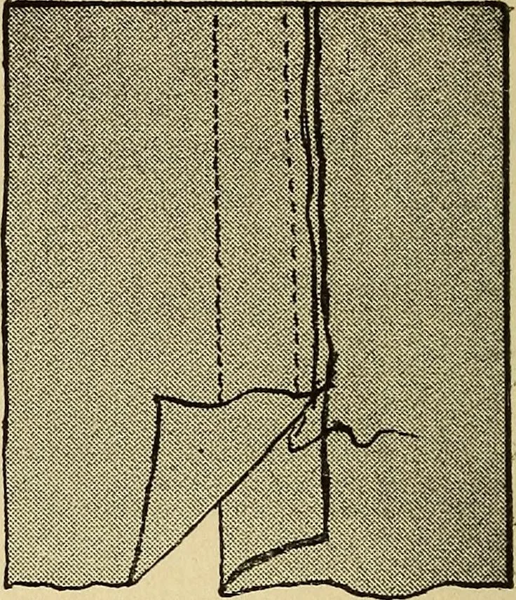 An illustration from Practical sewing and dressmaking, 1913, leaf 21