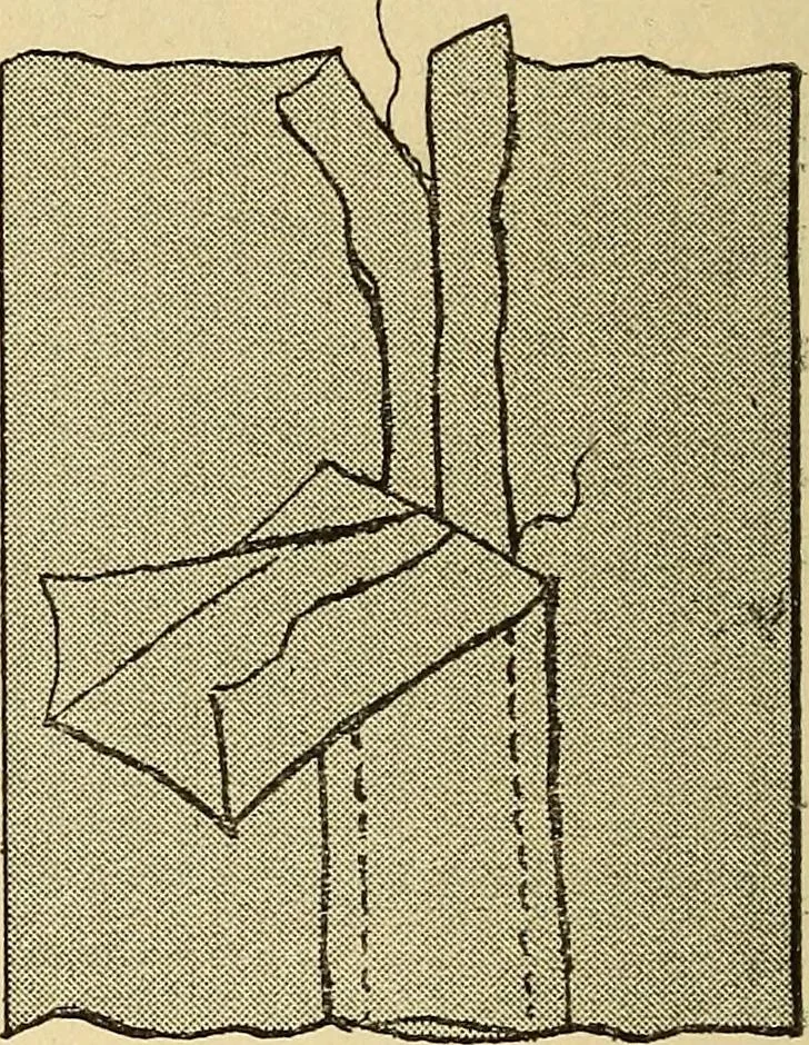 An illustration from Practical sewing and dressmaking, 1913, leaf 21
