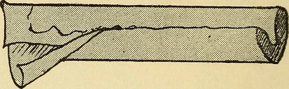 An illustration from Practical sewing and dressmaking, 1913, leaf 23