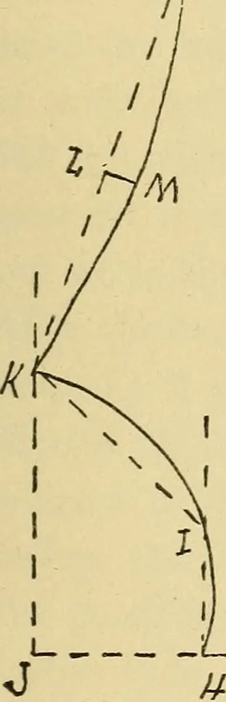 An illustration from Practical sewing and dressmaking, 1913, leaf 230