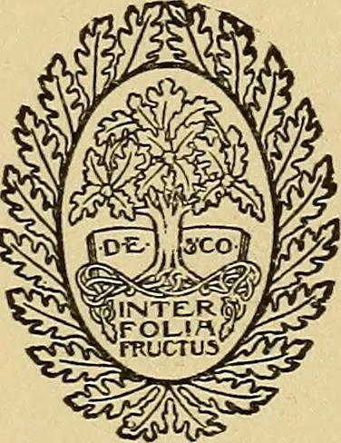 An illustration from Practical sewing and dressmaking, 1913, leaf 6
