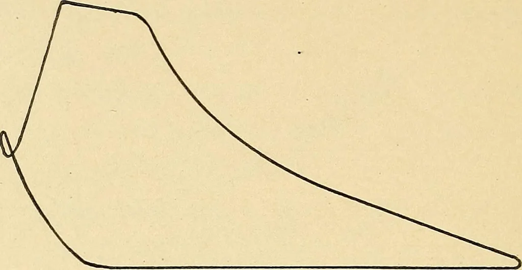 An illustration from Practical stationary engineering : in form of questions and answers, 1909, leaf 233