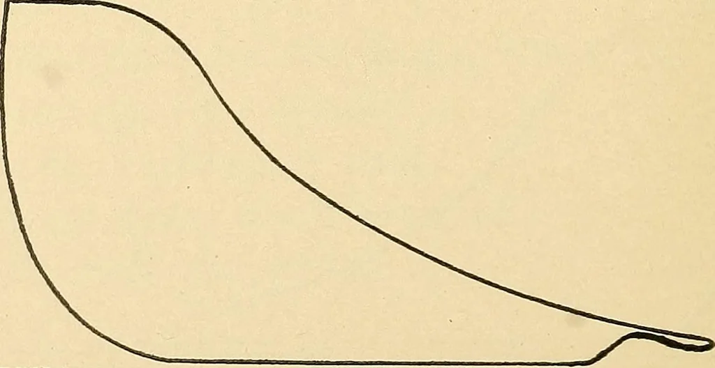 An illustration from Practical stationary engineering : in form of questions and answers, 1909, leaf 233
