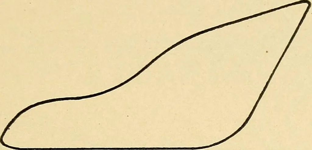 An illustration from Practical stationary engineering : in form of questions and answers, 1909, leaf 234