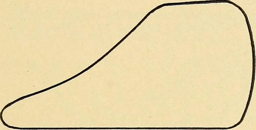 An illustration from Practical stationary engineering : in form of questions and answers, 1909, leaf 234