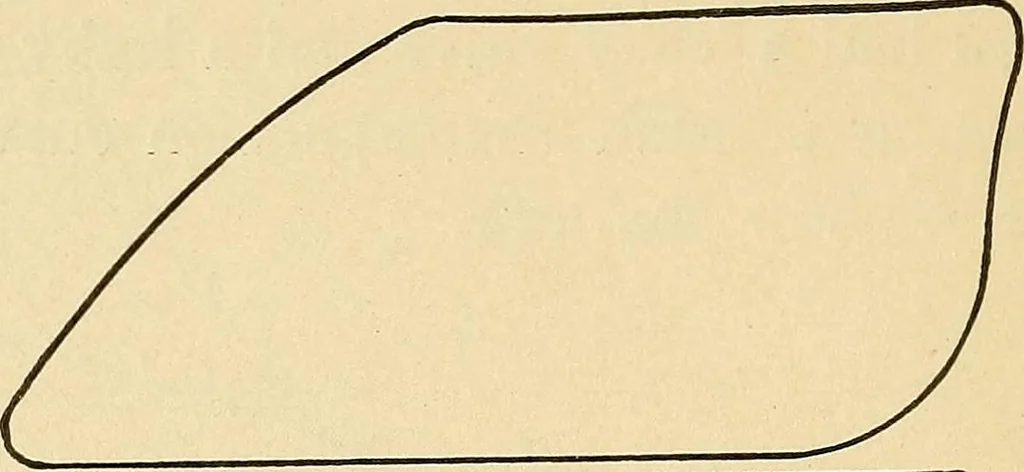 An illustration from Practical stationary engineering : in form of questions and answers, 1909, leaf 235