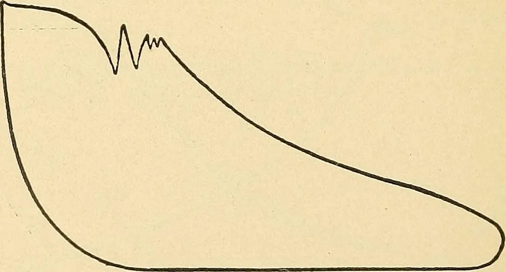 An illustration from Practical stationary engineering : in form of questions and answers, 1909, leaf 235