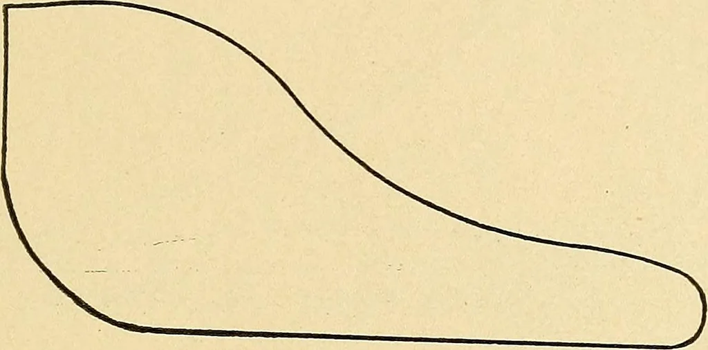 An illustration from Practical stationary engineering : in form of questions and answers, 1909, leaf 236
