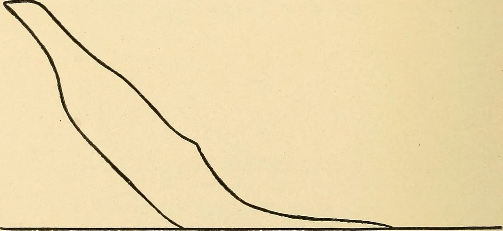 An illustration from Practical stationary engineering : in form of questions and answers, 1909, leaf 237