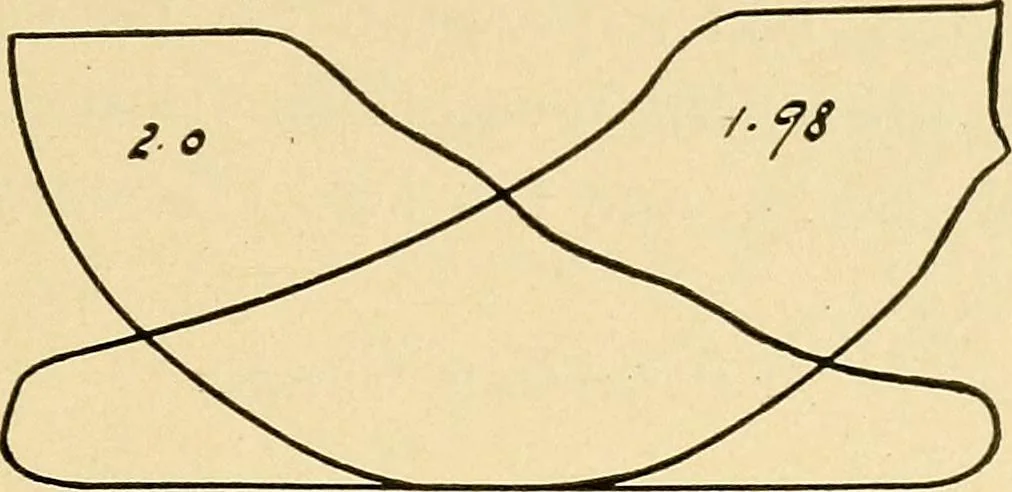 An illustration from Practical stationary engineering : in form of questions and answers, 1909, leaf 242