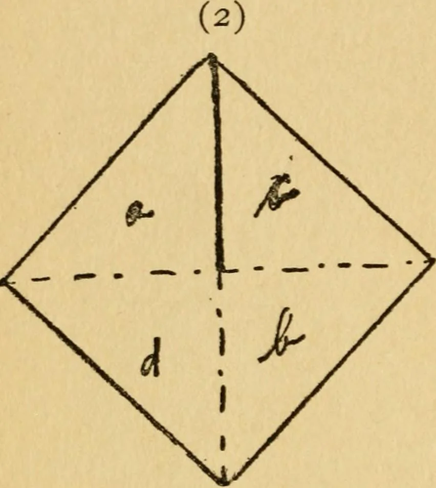 An illustration from A practical system in folding, cutting and modeling, &c., 1908, leaf 29